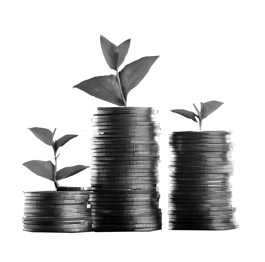  Return On Investment 